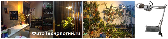 Лампы для растений купить в СПБ