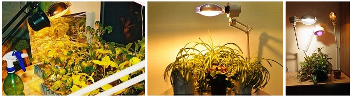 Купить лампы для растений в Уфе