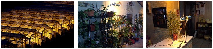 Лампы для выращивания рассады и освещения растений купить в Ростове