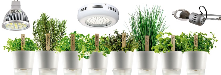 Как выбрать лампы для выращивания растений в домашних условиях
