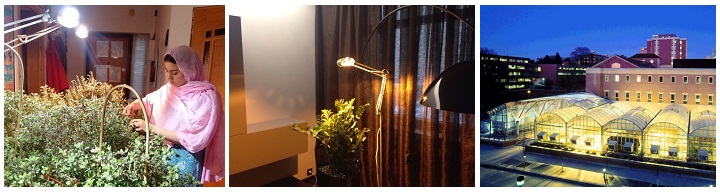Лампы для растений в Астрахани