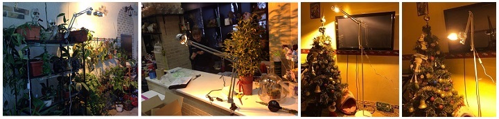 Фитолампы или лампы для растений купить в Екатеринбурге